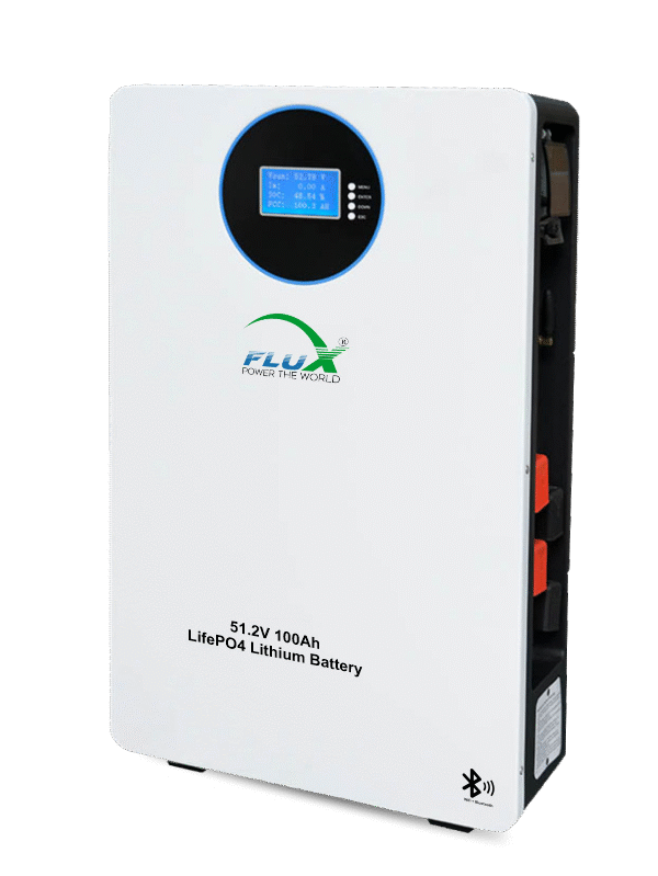 51.2V 100Ah LiFePO₄ Lithium Batteries